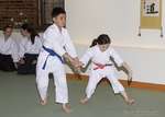 IMG_10913 thumbnail