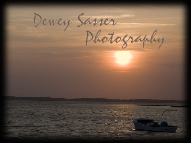 Dewey Sasser Photography
