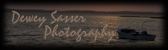Dewey Sasser Photography